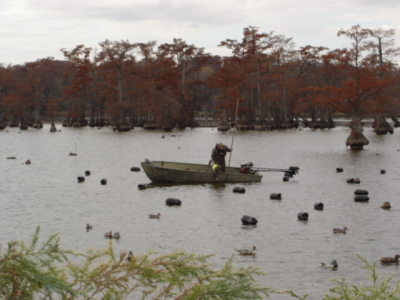 Reelfoot Lake Duck Hunting - 2008