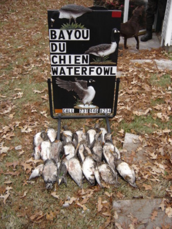 Reelfoot Lake Duck Hunting Guide Service